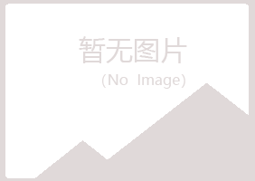 施甸县如波能源有限公司